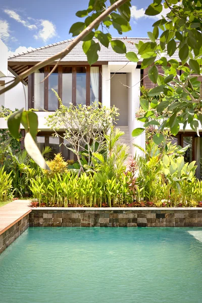 Modern swimming pool and the green tree garden — Stock Photo, Image