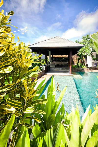 Роскошный вид на отель с бассейном над листьями — стоковое фото