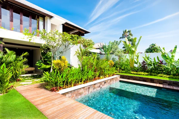 Moderní zahrada s bazénem a efektní rostlin — Stock fotografie