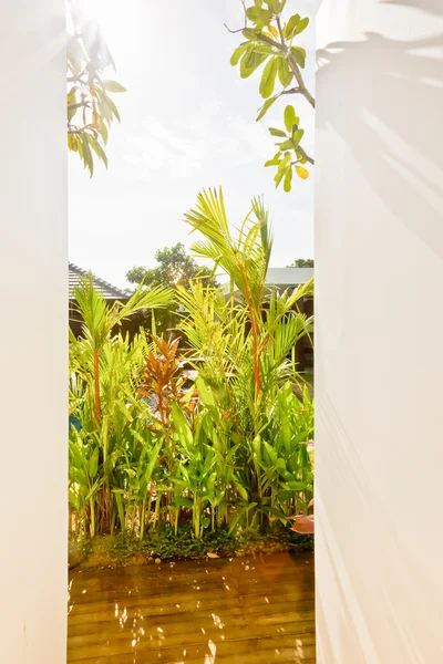 Path entrance Images - Search Images on Everypixel