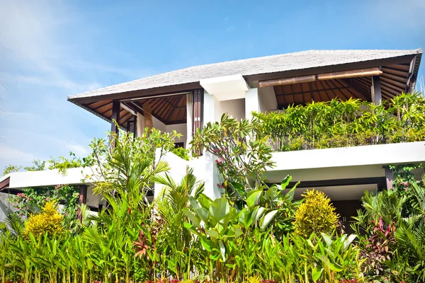 현대 호텔 녹색 관상 식물 정원 — 스톡 사진