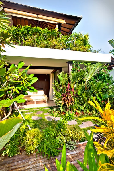 Giardino moderno casa con piante ornamentali colorate coltivate — Foto Stock