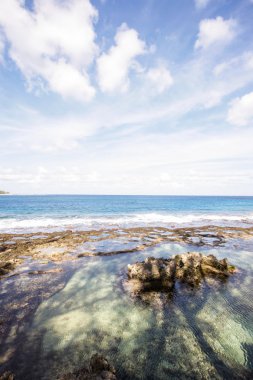 Deniz kenarındaki güzel doğal bir su birikintisi ile