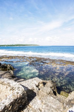 Seaside düşük gelgit sırasında