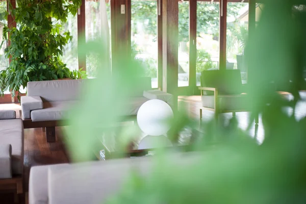 Sala de estar elegante com um monte de plantas da casa — Fotografia de Stock