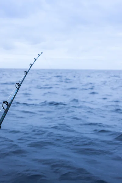 Vara de pesca à espera de um peixe — Fotografia de Stock