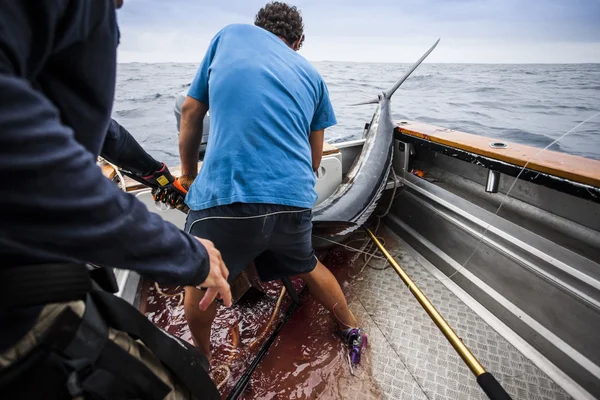 Mannen trekken een enorme vis in de boot — Stockfoto