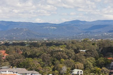 Güzel orman ve tepeler