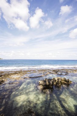 Deniz kenarındaki güzel doğal bir su birikintisi ile