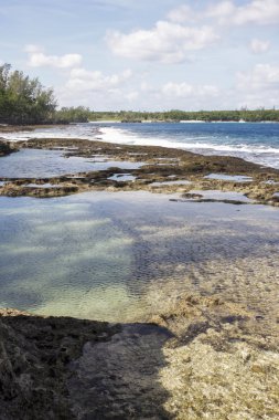 Vahşi bir gelgit kumsalda