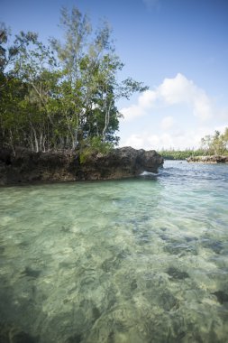 Su ile yıkandıktan sahil