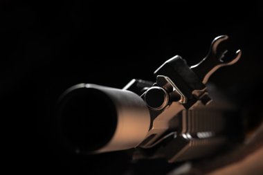 AR-15 arpacık