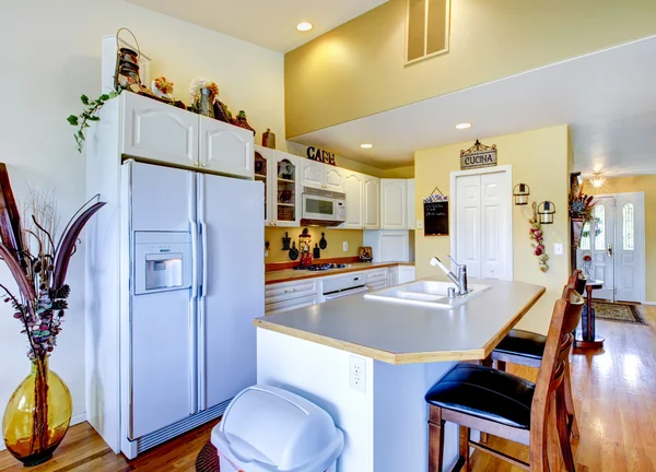 Típica cocina americana interior con electrodomésticos blancos e isla —  Fotos de Stock