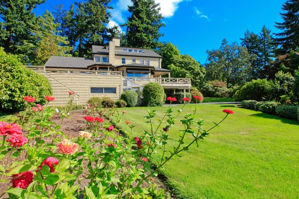 Jardim de quintal verde com flores agradáveis . — Fotografia de Stock