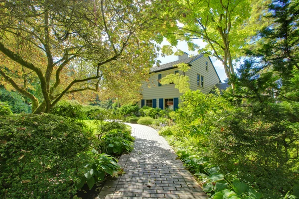 Green backayrd garden with brick tile walkway. — Stock Photo, Image