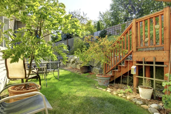 Маленький зеленый огороженный задний двор с садом и сараем — стоковое фото
