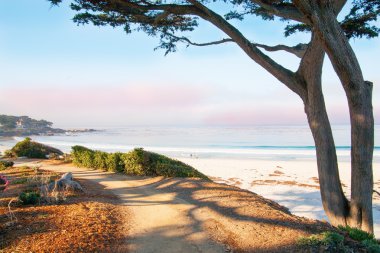 Big Sur, Kaliforniya, ABD 