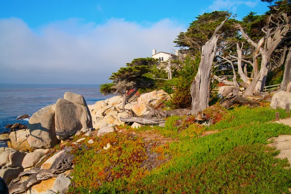 Big Sur Californië, Usa — Stockfoto