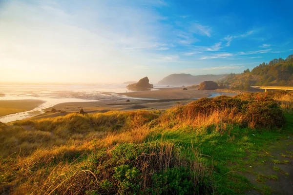 Salida del sol en la costa de Oregon — Foto de Stock