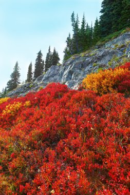 Mount Rainier, Washington