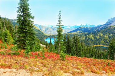 Mount Rainier, Washington