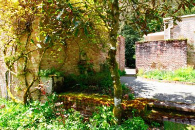 Park peyzaj tasarım