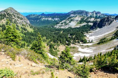 Yaz zammını, Mount Rainier Milli Parkı manzaralı Mt.Rainier.