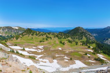 Yaz zammını, Mount Rainier Milli Parkı manzaralı Mt.Rainier.