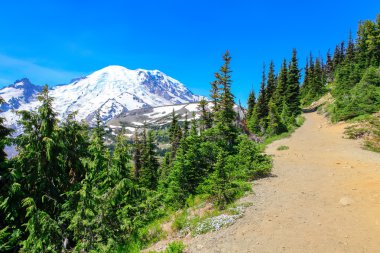 Yaz zammını, Mount Rainier Milli Parkı manzaralı Mt.Rainier.