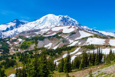 Yaz zammını, Mount Rainier Milli Parkı manzaralı Mt.Rainier.