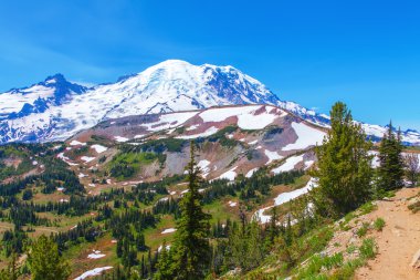 Yaz zammını, Mount Rainier Milli Parkı manzaralı Mt.Rainier.