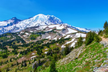 Yaz zammını, Mount Rainier Milli Parkı manzaralı Mt.Rainier.