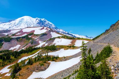 Yaz zammını, Mount Rainier Milli Parkı manzaralı Mt.Rainier.