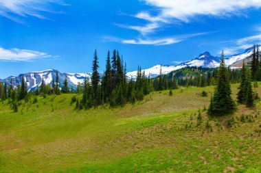 Yaz zammını, Mount Rainier Milli Parkı manzaralı Mt.Rainier.