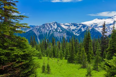 Yaz zammını, Mount Rainier Milli Parkı manzaralı Mt.Rainier.
