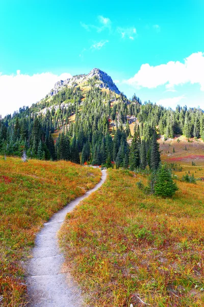 Mount Rainier, Washington — Stock fotografie