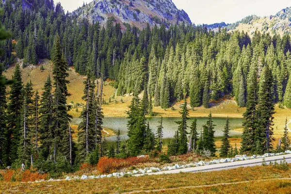 Mount Rainier, Вашингтон — стокове фото