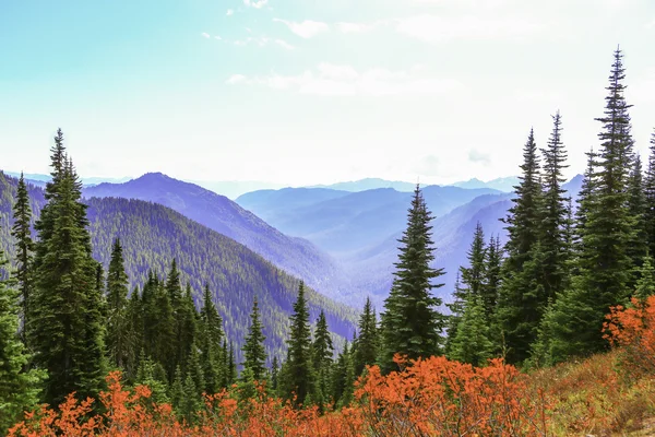 Mount rainier, Ουάσινγκτον — Φωτογραφία Αρχείου