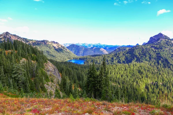 Monte rainier, washington — Fotografia de Stock