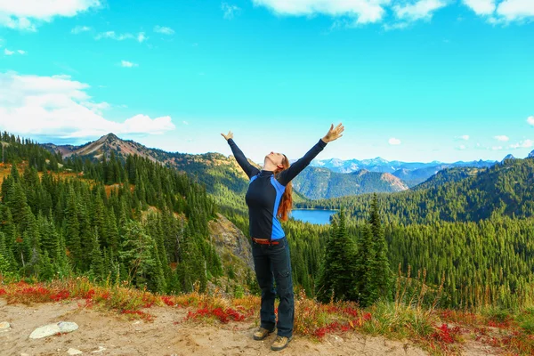 Gunung Rainier, Washington — Stok Foto