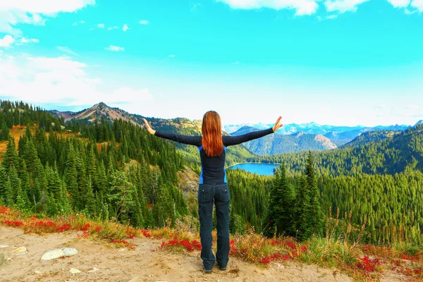 Gunung Rainier, Washington — Stok Foto