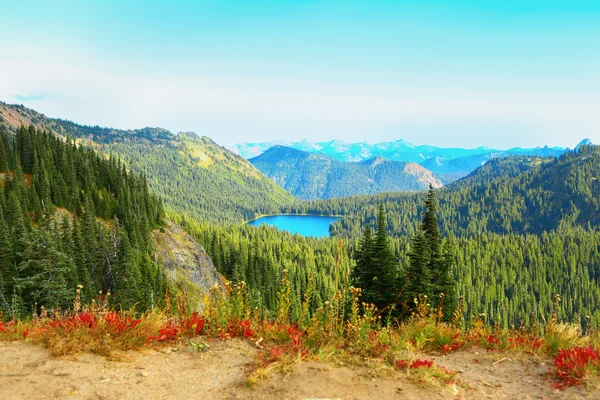 Mount Rainier, Washington — Stock fotografie