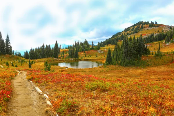 Mount Rainier, Washington — Stock fotografie