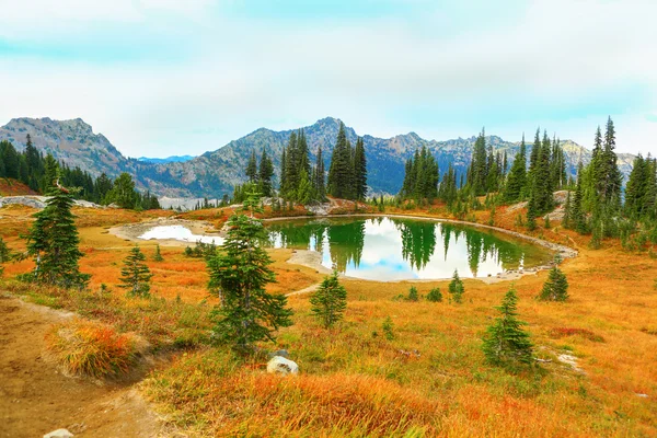 Mount Rainier, Washington — Stock fotografie