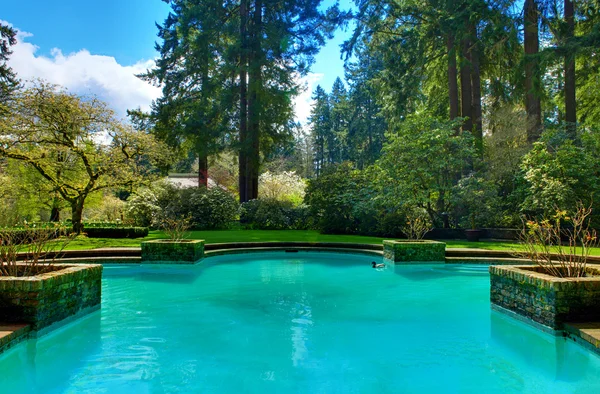 Schöner Pool im Garten — Stockfoto
