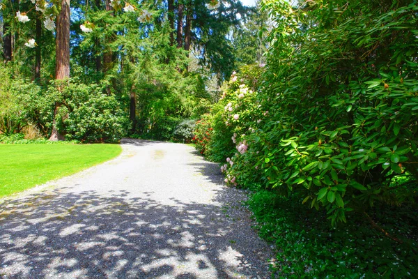 Camino en un jardín — Foto de Stock