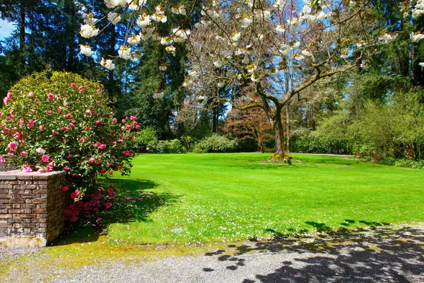 Pfad in einem Garten — Stockfoto