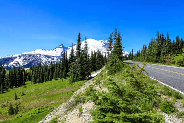 Sommerwanderung im Mount Rainier Nationalpark mit Blick auf den Mount Rainier. — Stockfoto