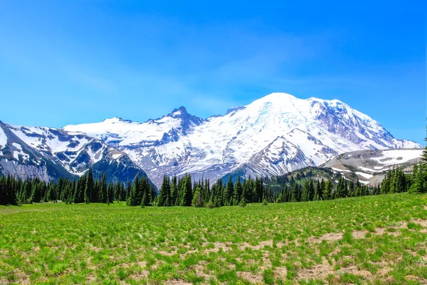 Zomer wandeling op Mount Rainier National park met uitzicht op Mt.Rainier. — Stockfoto