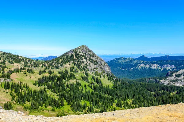 夏のハイキング Mt.Rainier 観とマウント ・ レーニエ国立公園で. — ストック写真